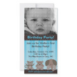 Birthday Party Photo Card photo cards