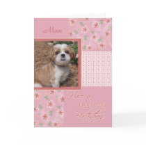 Birthday  - Pet Photo Card