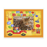 Birthday Postcard Bengal Cat