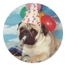 Birthday Pug Stickers