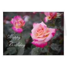 Birthday Rose Greeting Cards