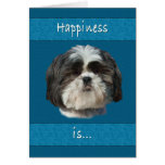 Birthday, Shih Tzu Dog Cards