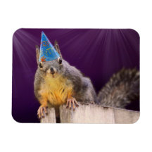 Birthday Squirrel Photo Flexible Magnets