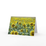 Birthday sunnies card