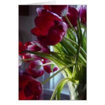Birthday Tulips cards