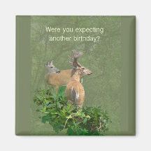 Birthday Whitetail Deer Buck & Doe Fridge Magnets