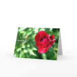 Birthday wishes greeting cards