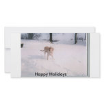 biscuit snow, Happy Holidays photo cards