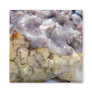 Biscuits & gravy fridge magnet
