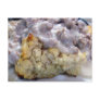 Biscuits & gravy post card