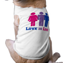 Bisexual Love is Love -