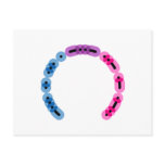Bisexual Morse Code Arc Postcard