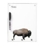 Bison