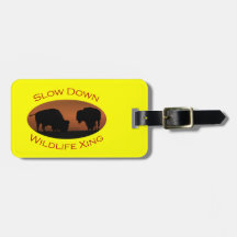 bison