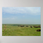 Bison and Ghost Posters