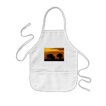 bison aprons
