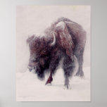 Bison Blizzard Posters