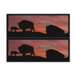 Bison book markers