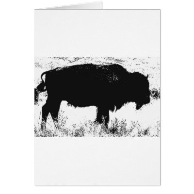 Bison - Buffalo Cards by made_in_atlantis