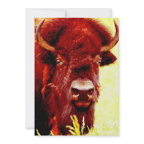 Bison / Buffalo Invitation - Buffaloes Invites