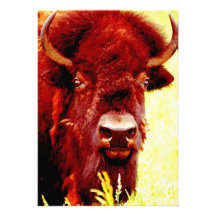 Bison / Buffalo Invitation - Buffaloes Invites