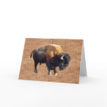 Bison Buffalo Wildlife Greeting Card