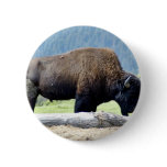 Bison Pin