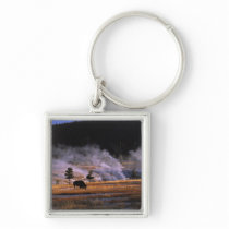 Bison grazing in the Upper Geyser Basin near Key Chains