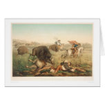 Bison Hunt (0008A) cards