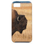 Bison iPhone 5 Cases