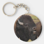 bison key chains