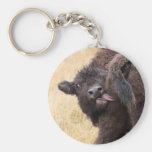 bison keychains
