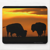 Bison mousepads