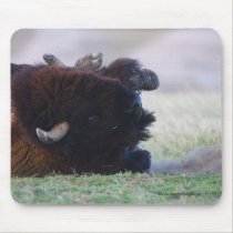 Bison mousepads