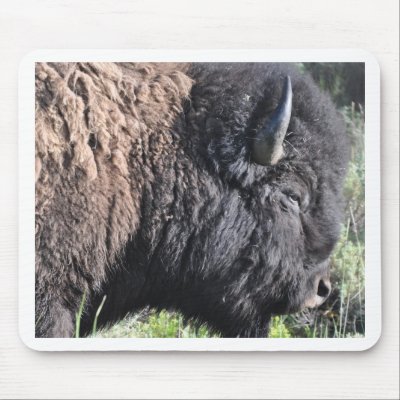 Bison Mousepad by WhiteMagic