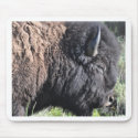 Bison mousepads