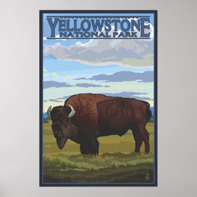 Bison Scene - Yellowstone National Park Print by LanternPress