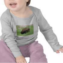Bison Shirt