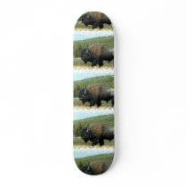 Bison  Skateboard