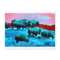 Bisons Post Card
