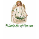 Bit of Heaven t-shirts