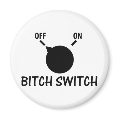 bitch switch off refrigerator magnets by Tomaniac