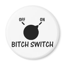 bitch switch on refrigerator magnet