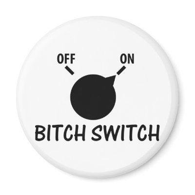 bitch switch on refrigerator magnet by Tomaniac