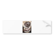 BITE ME! BUMPER STICKERS