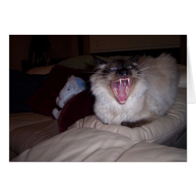 Bite ME! Greeting Card by LABoston