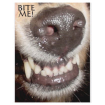 BITE ME! PERSONALIZED FLYER