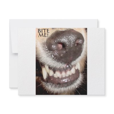 BITE ME! PERSONALIZED ANNOUNCEMENT by LOOSIELUCY