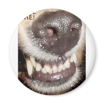 BITE ME! REFRIGERATOR MAGNETS