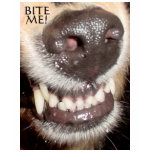 BITE ME! t-shirts
